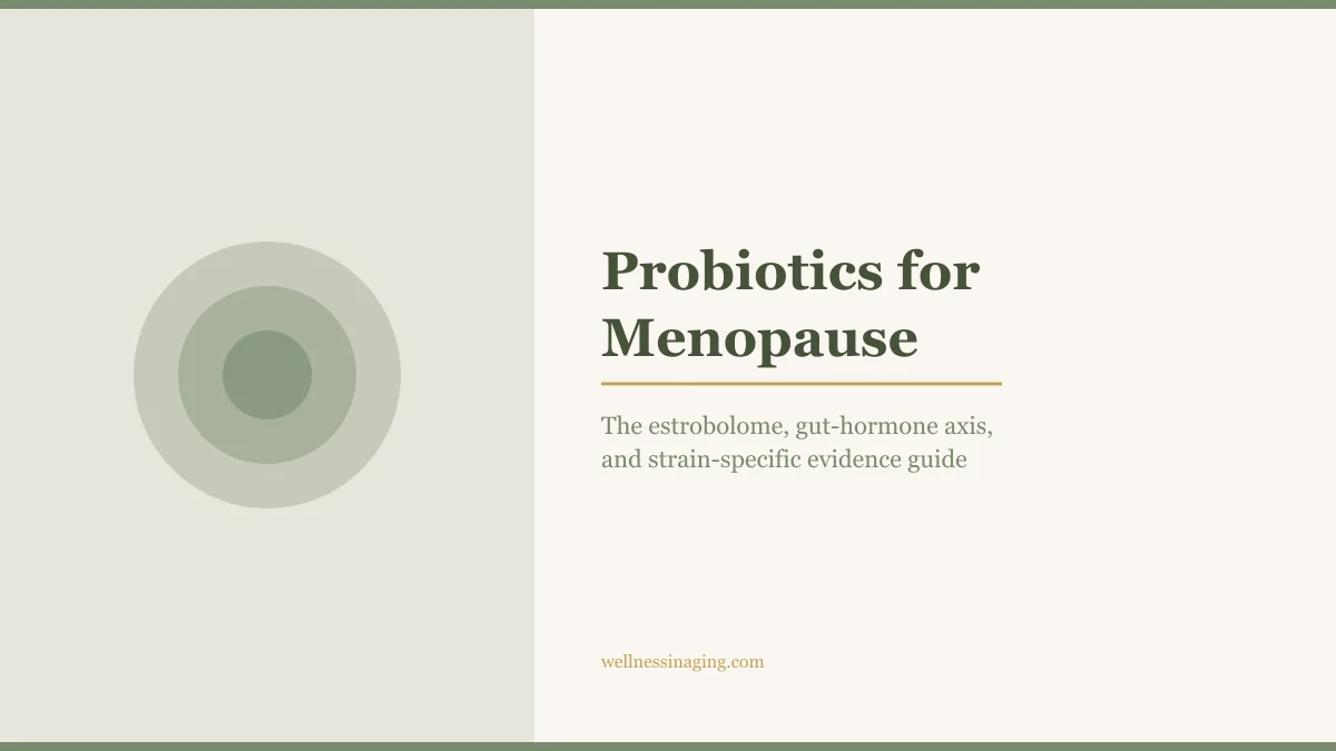 Probiotics and Menopause: The Gut-Hormone Connection (What the Science Says)